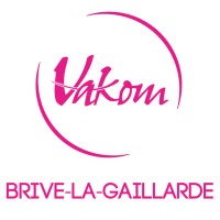 VAKOM Brive logo - Similar company to Ltform