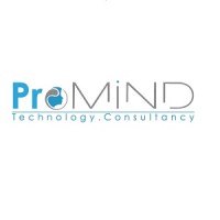 PROMIND for Technology and Consultancy logo - Similar company to Hr Bees