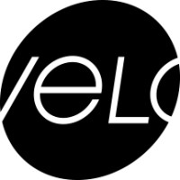 The Velo Group logo - Similar company to Mercado Software