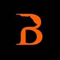 Bear Strategy logo - Similar company to Open Project