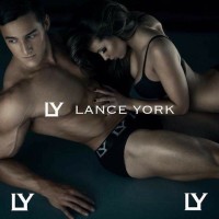 Lance York logo - Similar company to Bloke Undees