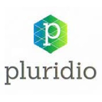 Pluridio logo - Similar company to Thinktech