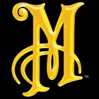 Meguiar's Middle East logo - Similar company to Ice Zone