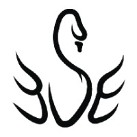Swan-Black logo - Similar company to It Vizion