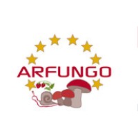 Arfungo logo - Similar company to Berritum