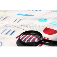 Prismetrics logo - Similar company to Akshu Soft Tech