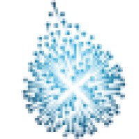 INTUITIVA S.A.S. logo - Similar company to Xwells