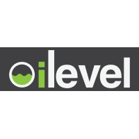 iLevel Ltd logo - Similar company to Simpsons Creative