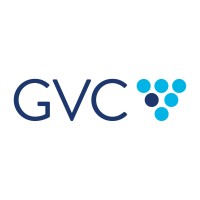 Grapevine Visual Concepts logo - Similar company to Image Craft