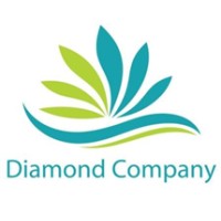 Diamond Misr Company logo - Similar company to Salman Auto Eectric Vehicles