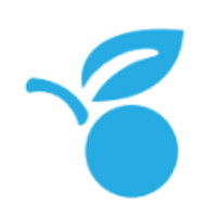 RaiseBerry logo - Similar company to Dreamringlabs