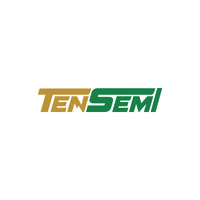Tensemi logo - Similar company to Raphael Creatives