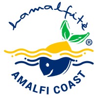 Hamalfitè Beachwear logo - Similar company to Pavidas