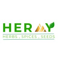 Hermy logo - Similar company to Roaa Construction .. شركة رؤى                       𝐌𝐚𝐝𝐞 𝐢𝐧 𝐄𝐠𝐲𝐩𝐭 🇪🇬