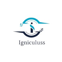 Igniculuss Technologies logo - Similar company to Igniculuss