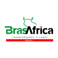BRASAFRICA LDA logo - Similar company to Agrozootec