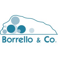 Borrello & Co srl logo
