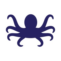 Octopus Dynamics logo - Similar company to Octopus Dynamic Solutions Pvt Ltd.