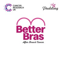 Better Bras after Breast Cancer logo - Similar company to Pudding Lingerie