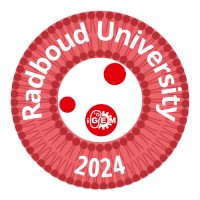 Radboud iGEM Team logo - Similar company to Igem Düsseldorf
