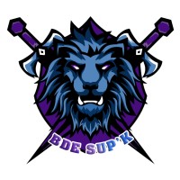 BDE SUPK logo - Similar company to Chinese Scholars And Students Association Of Sorbonne University