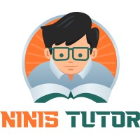 Ninis Tutor logo - Similar company to Study First
