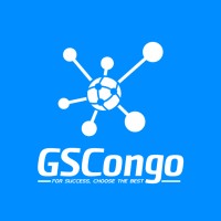 GLOBAL SERVICES CONGO logo - Similar company to Panaco Sarl