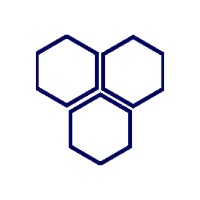 Blue Hive IT logo - Similar company to Gringo Technologies Limited