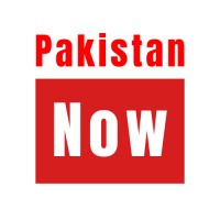 Pakistan Now logo - Similar company to Zero Point Intel