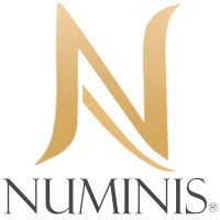 Numinis Assessoria de Casamento logo - Similar company to Casa De Dois