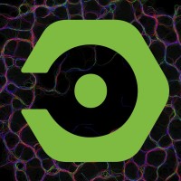Nano. Núcleo De Arte E Novos Organismos