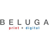 Beluga Limited logo - Similar company to Datametas Limited