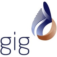 Arab Misr Insurance Group “gig” logo - Similar company to Kashef Insights