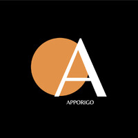 AppOrigo Technologies logo - Similar company to Loopfi