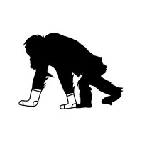Critically Endangered logo - Similar company to Pembient