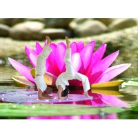 Yoga Vidya Aschaffenburg logo - Similar company to Linkedin Local Aschaffenburg