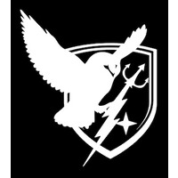 Defense Strategies Group logo - Similar company to Nevcas, Llc