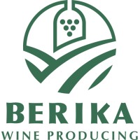 BERIKA logo - Similar company to Berika