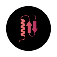 Peptide Dynamics logo - Similar company to Clipp3R