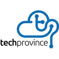 Techprovince logo - Similar company to Tekprowess Llp