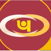 PNB INVESTMENT SERVICES LIMITED logo - Similar company to Prakash B Joshi