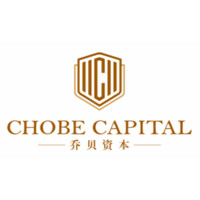 Chobe Capital logo - Similar company to Accsoon