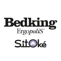 Bedking Ergopolis logo - Similar company to Sleeplife