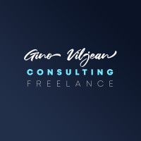 Gino ® — Expert En Pilotage De Projets Métiers Et It