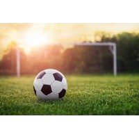 VITA Artificial Grass Industry Limited logo - Related company intelligence peer for FASTRONIC SERVICES