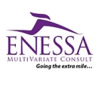 ENESSA MULTIVARIATE CONSULT logo - Similar company to Enessa Inc