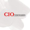 CIO Visionaries logo - Similar company to Skillssyn