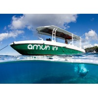 Amun Ini Dive logo - Similar company to Amun Marketing