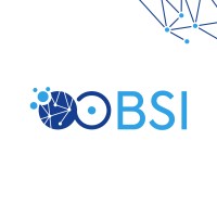 Broadcast Solutions International (BSI) logo - Similar company to Femeycodes - Software Development Company