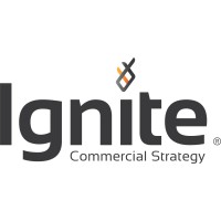 Ignite Commercial Strategy logo - Similar company to Salit Mty